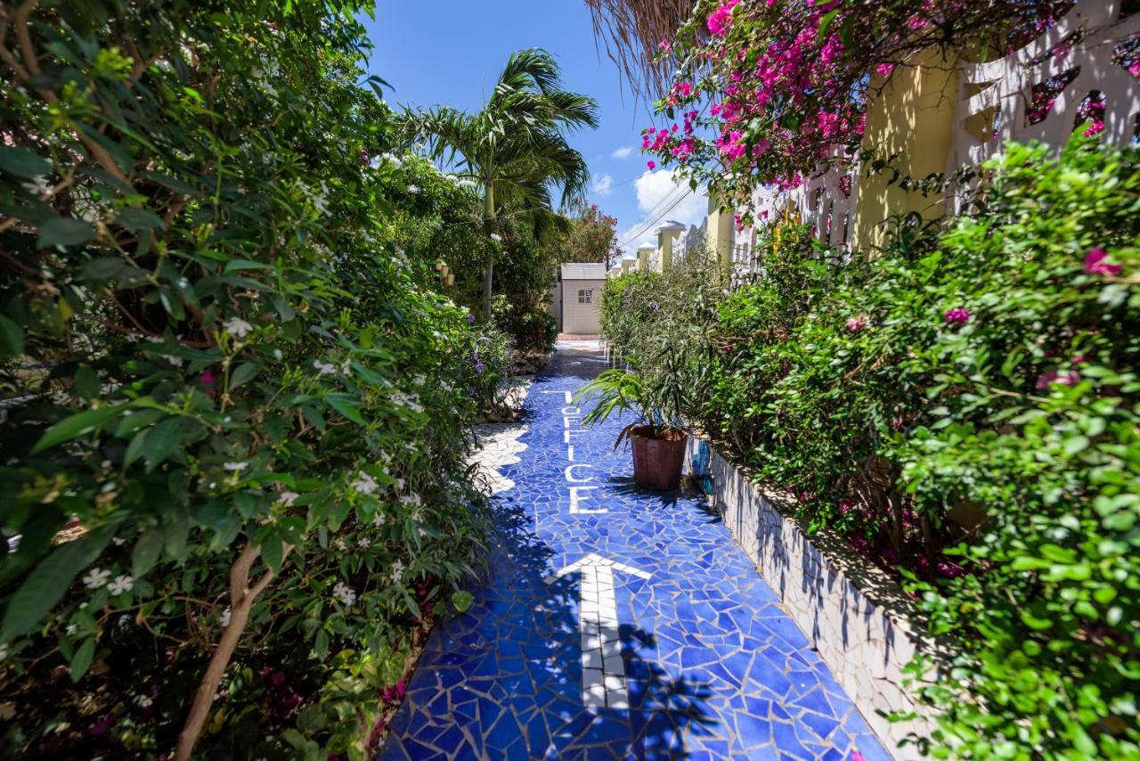 Sunflower Villa Studios Palm Beach Extérieur photo