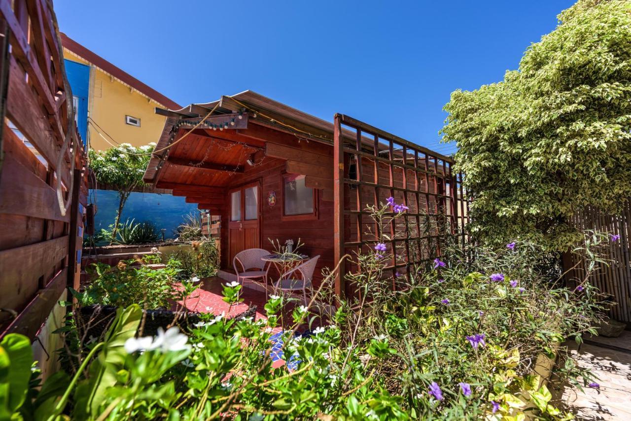 Sunflower Villa Studios Palm Beach Extérieur photo